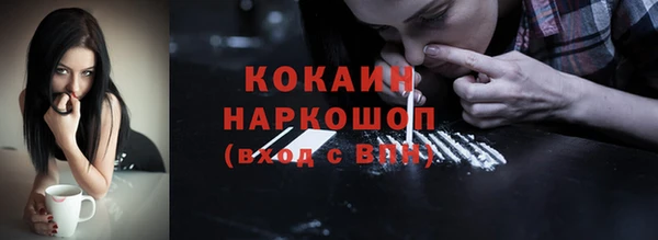 бошки Алексин