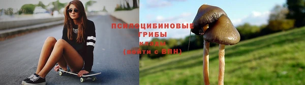 бошки Алексин