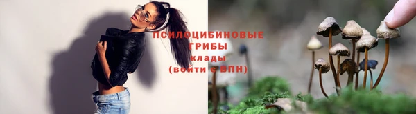 герыч Алзамай