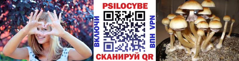 Галлюциногенные грибы Psilocybe  мега ТОР  Евпатория  даркнет сайт 